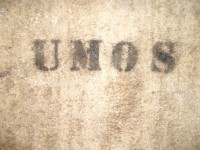 IMGP3813 