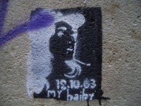 IMGP3854 