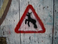 Jump to image