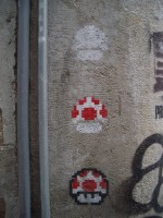 IMGP3937 