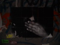 IMGP3953 