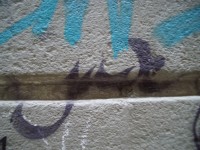 Jump to image
