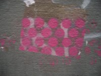IMGP4024 