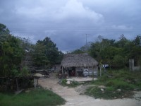 IMGP1484 