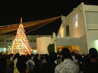 DSCF0813 