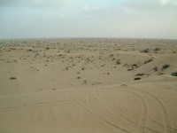 DSCF0849 
