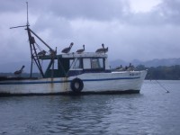 IMGP1516 