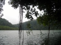 IMGP1520 