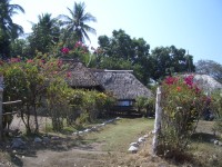 IMGP1589 