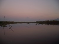 IMGP1612 