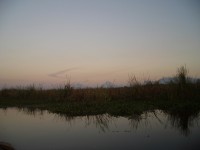 IMGP1614 