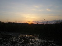 IMGP1617 