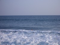 IMGP1657 