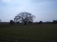 IMGP1671 