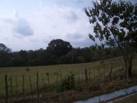 IMGP1673 
