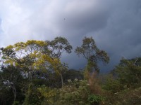 IMGP1678 