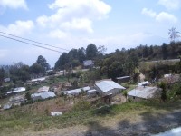 IMGP1708 