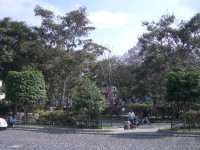 IMGP1710 