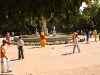 DSCF0806 