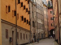 DSC00319 