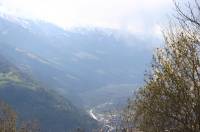 IMG_0293 