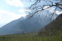 IMG_0358 