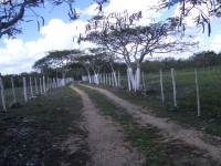 IMGP1277 