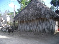 IMGP1301 
