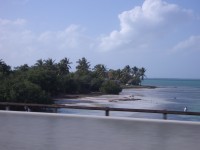 IMGP1179 