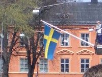 IMGP2431 